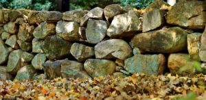 A close view of a mossy stone wall