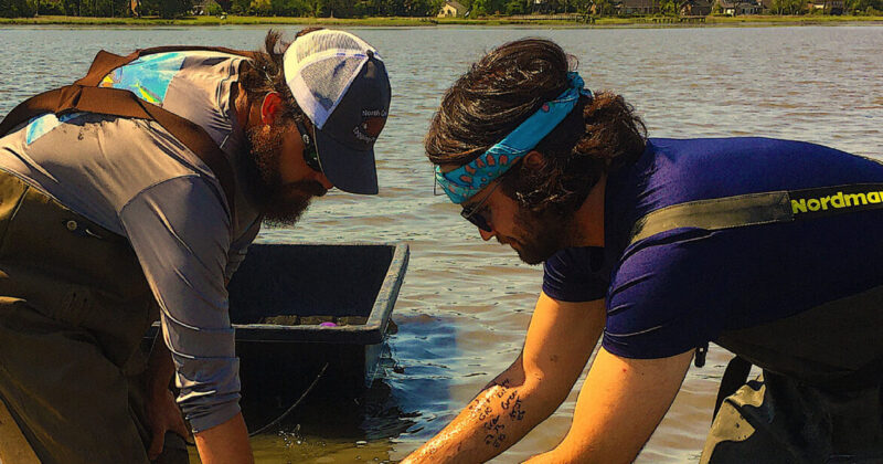 Nick Funnell (right) and IMS’s Creed Branham gather oysters in the water.
